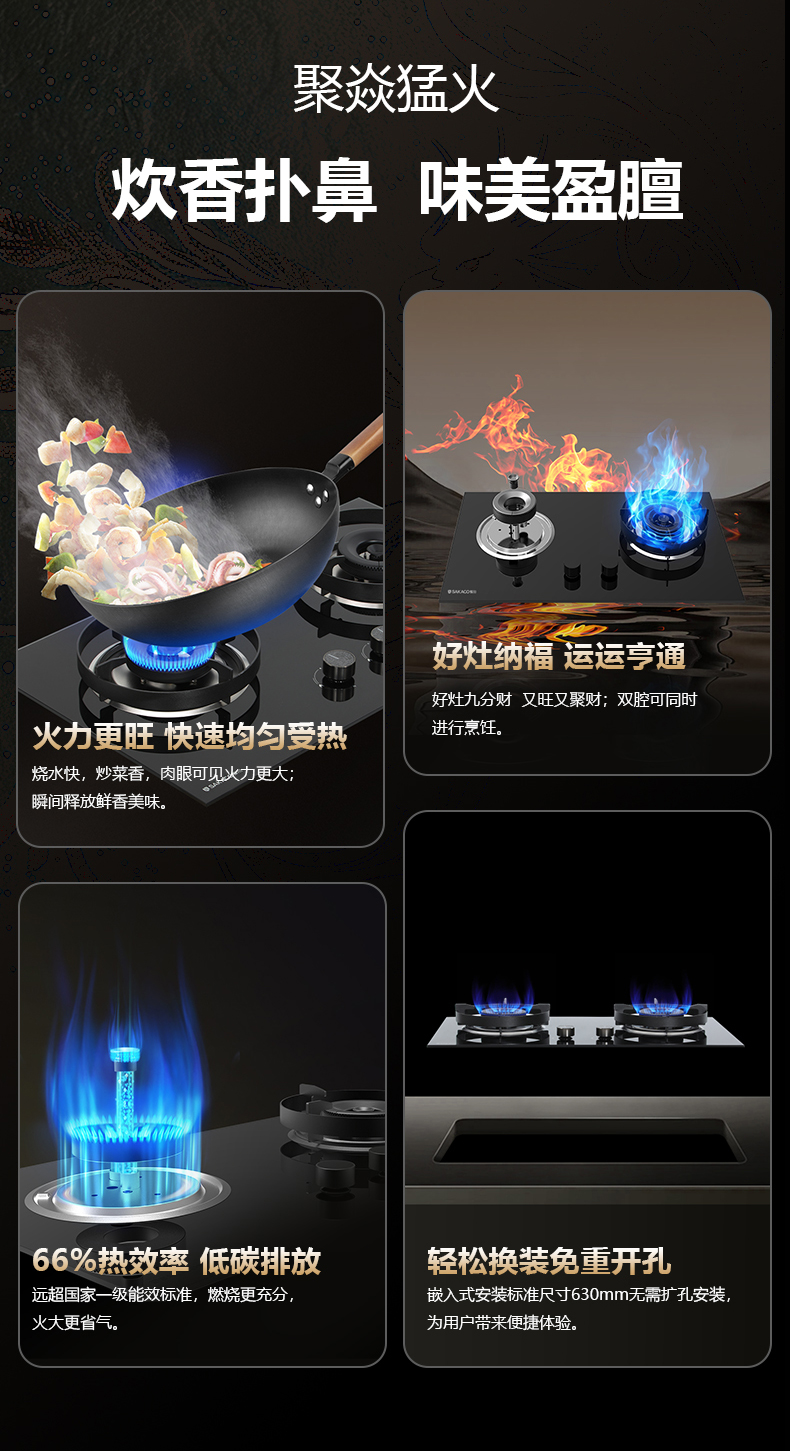 燃?xì)庠頟B22
