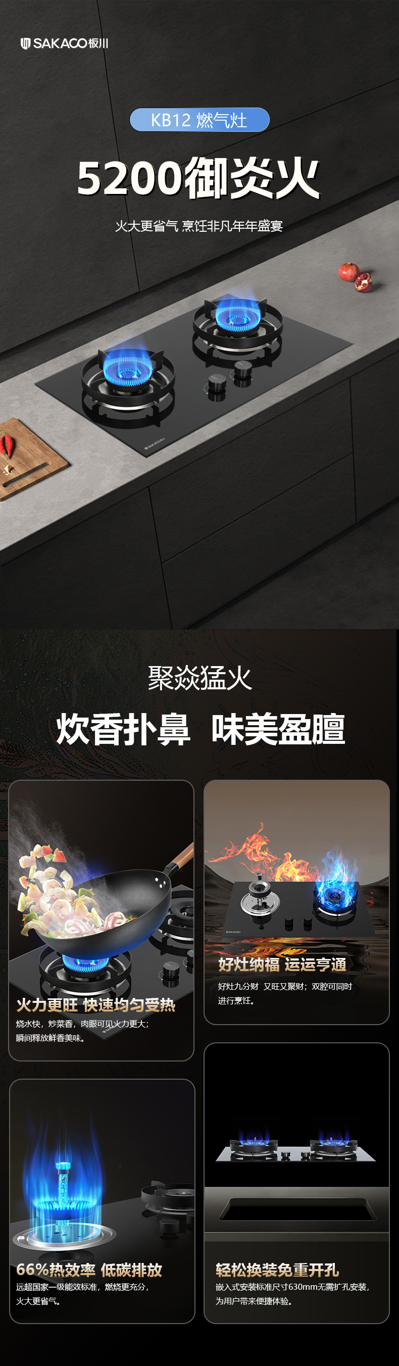 燃?xì)庠頚B12